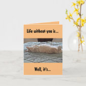 Een leven zonder jou, een kat kaart (Gele Bloem)