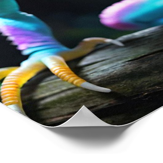 Een levendig gekleurd reptiel poster (Hoek)