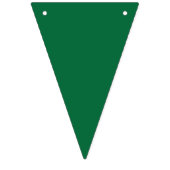 Een levendig groen blad met verschillende aderen i vlaggetjes (Eerste vlag)