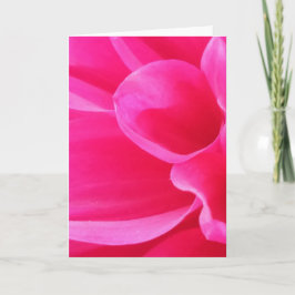 Een levendige close-up Delilah Flower (Blank) Kaart