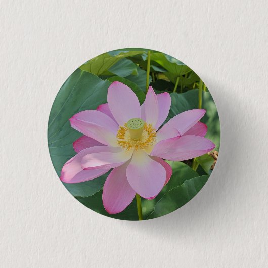 Een levendige lotusbloem ronde button 3,2 cm (Voorkant)