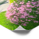 Een levendige oase van kleuren en leven poster (Hoek)