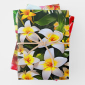 Een levendige opstelling van witte en gele plumeri inpakpapier vel (In situ)