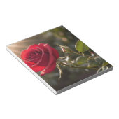 Een levendige rode roos, symboliseert liefde en pa notitieblok (Schuin)