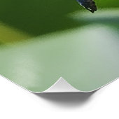 Een libel zit perfect poster (Hoek)