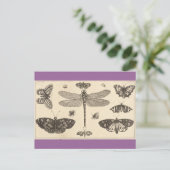 Een libellen, ladyvogels en vlinders briefkaart (Staand voorkant)