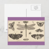 Een libellen, ladyvogels en vlinders briefkaart (Voorkant / Achterkant)