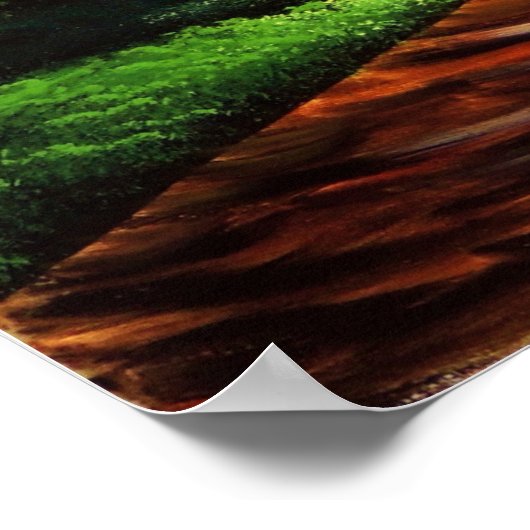 Een licht op mijn pad poster (Hoek)