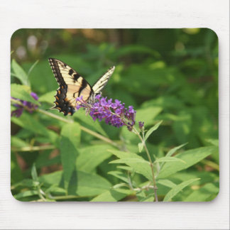 Een lichtlunch muismat