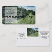 Een lichtstraal raakt een Ladder in een Apple Orch Visitekaartje (Voorkant / Achterkant)