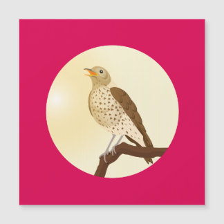 Een liedspruw zat op een tak