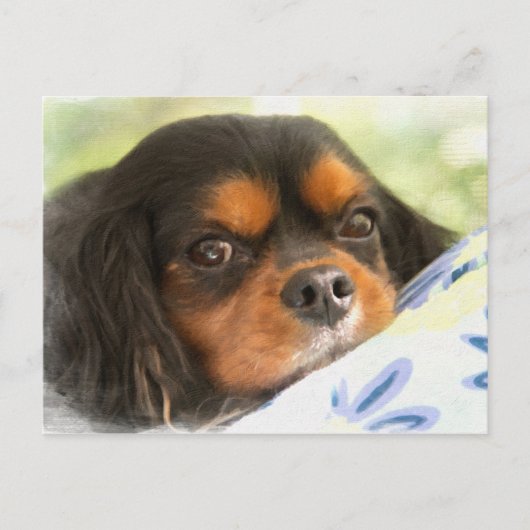 Een liefde als geen andere Cavalier King Charles S Briefkaart (Voorkant)