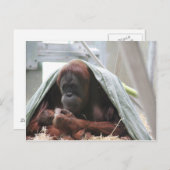 Een liefde voor moeders briefkaart (Voorkant / Achterkant)