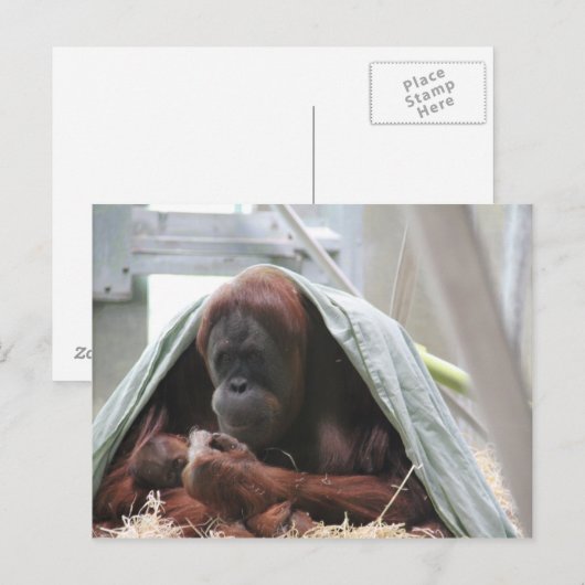 Een liefde voor moeders briefkaart (Voorkant / Achterkant)