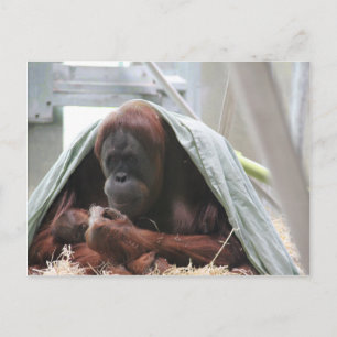 Een liefde voor moeders briefkaart