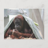 Een liefde voor moeders briefkaart (Voorkant)