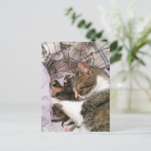 Een liefde voor moeders briefkaart (Staand voorkant)