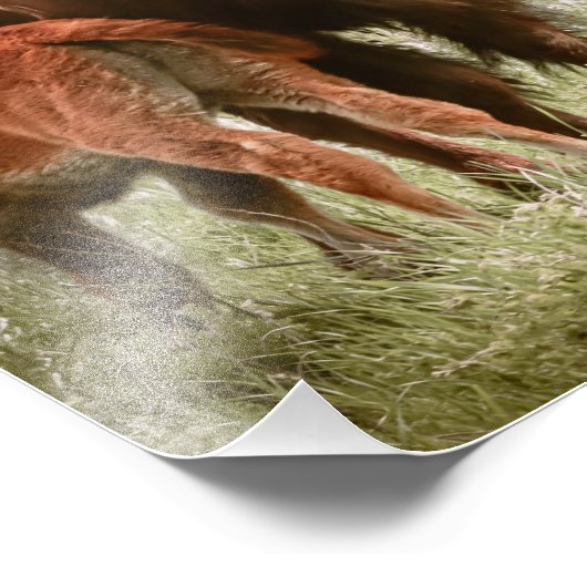 Een liefde voor moeders foto afdruk (Hoek)