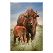 Een liefde voor moeders foto afdruk (Voorkant)