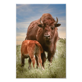 Een liefde voor moeders foto afdruk