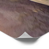 Een liefde voor paarden poster (Hoek)