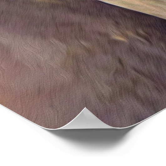 Een liefde voor paarden poster (Hoek)