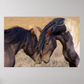 Een liefde voor paarden poster (Voorkant)