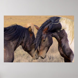 Een liefde voor paarden poster