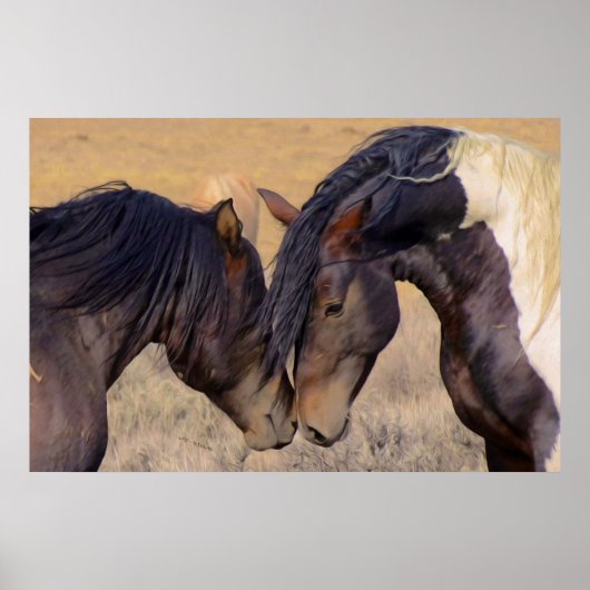 Een liefde voor paarden poster (Voorkant)