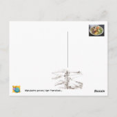 Een liefdevolle maaltijd... briefkaart (Achterkant)