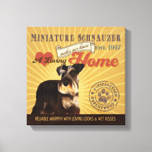 Een liefhebbende miniatuur Schnauzer maakt ons hui Canvas Afdruk