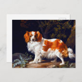 Een liefhebber van George Stubbs Briefkaart (Voorkant / Achterkant)