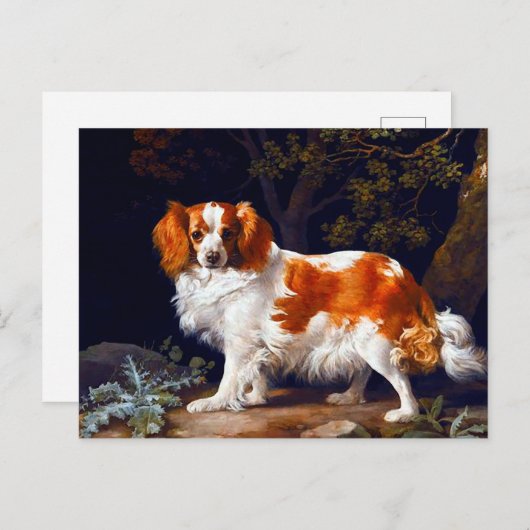 Een liefhebber van George Stubbs Briefkaart (Voorkant / Achterkant)