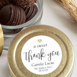 Een lieve dank u Quinceañera Modern 15e verjaardag Ronde Sticker