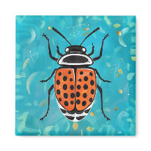 Een lieveheersbeestje met zwarte vlekken en oranje