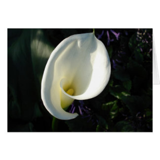 Een Lily van de Valley