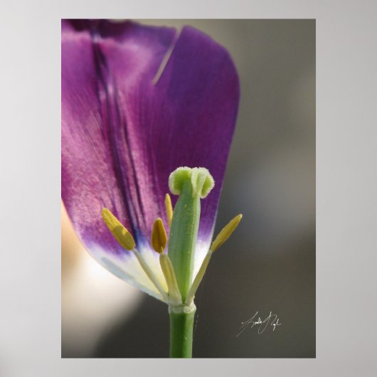 Eén links poster (Voorkant)