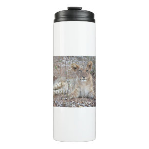 Een lionzak met een zoete, onnobele blik. thermosbeker