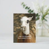 Een llama-geciteerd grappig dierlijk briefkaart. P Briefkaart (Staand voorkant)