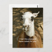 Een llama-geciteerd grappig dierlijk briefkaart. P Briefkaart (Voorkant / Achterkant)