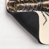 Een Lobster uit Solva Muismat (Hoek)