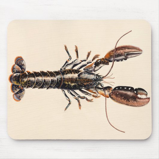 Een Lobster uit Solva Muismat (Voorkant)