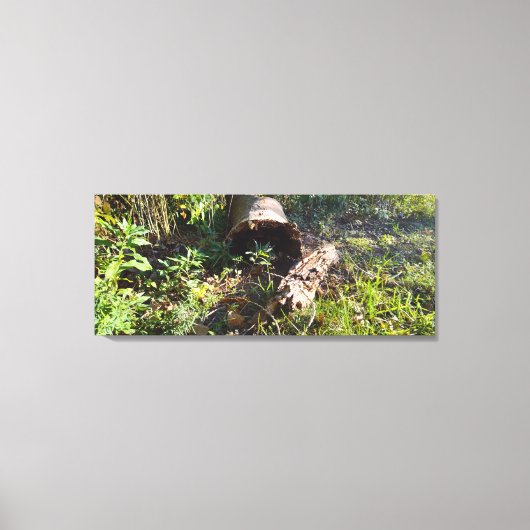 Een log vergeten canvas afdruk (Voorkant)