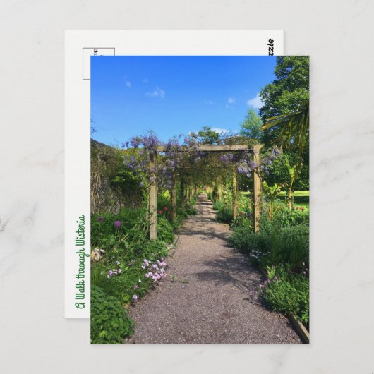 Een loop door Wisteria Briefkaart (Voorkant / Achterkant)