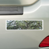 Een loop in het Park Bumpersticker (Op auto)