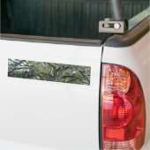 Een loop in het Park Bumpersticker (Op Truck)