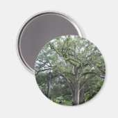 Een loop in het Park Magneet (Voorkant / Achterkant)