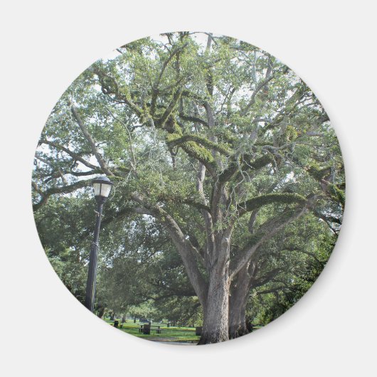 Een loop in het Park Magneet (Voorkant)