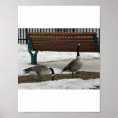 Een loop in het Park Poster (Voorkant)