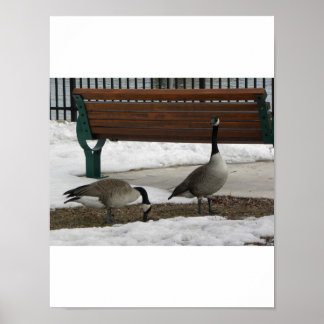 Een loop in het Park Poster